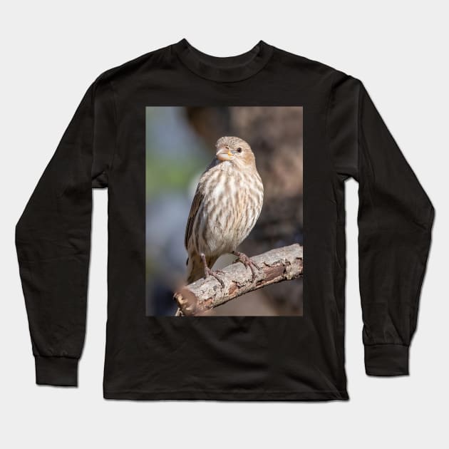 A Very Sweet Female House Finch Posing Prettily Long Sleeve T-Shirt by BirdsnStuff